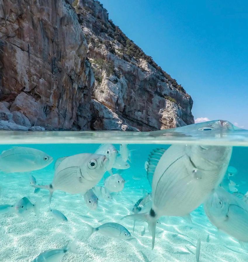 Cala Gonone, Casa I Pini Apartment Екстериор снимка